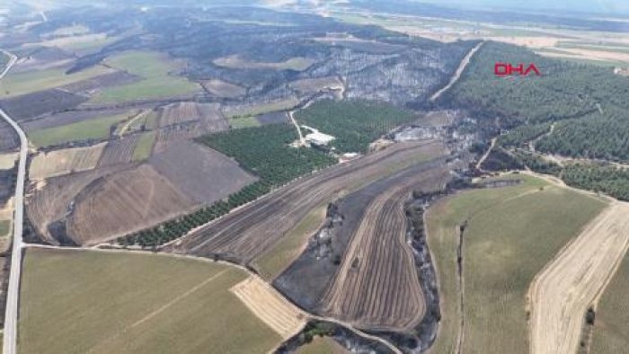 Tekirdağ'da başlayan yangında Çanakkale'deki 85 hektar orman da zarar gördü