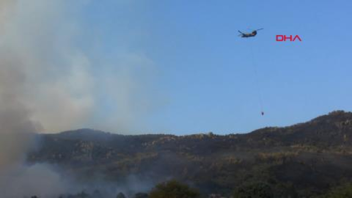 Eskişehir'de çıkan orman yangını, 3'üncü günde Afyonkarahisar'da sürüyor