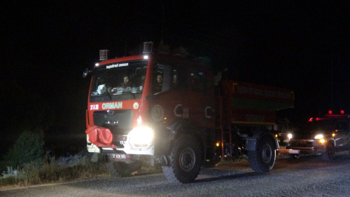 İzmir Çeşme’de orman yangını