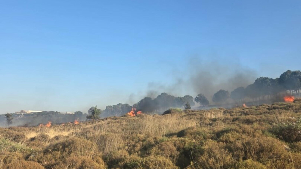 İzmir'de çıkan otluk yangını rüzgarla şiddetini artırdı