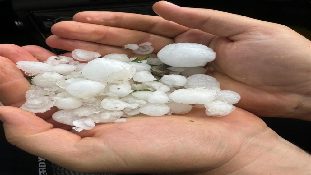 Don olaylarına karşı daha geç çiçeklenen bitkiler tercih edilmeli