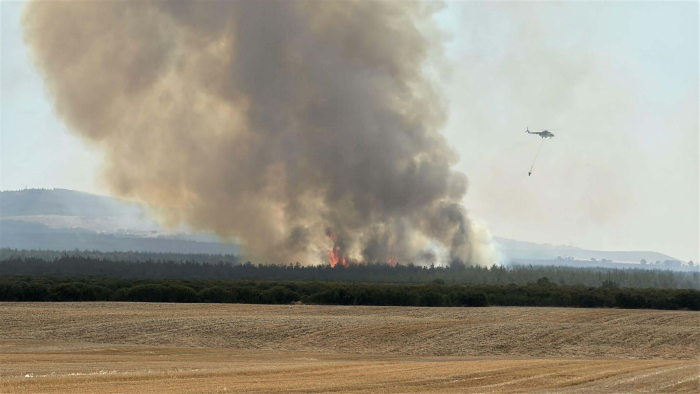 Tekirdağ yangınında alevlerin sıçradığı Çanakkale'de 85 hektar orman zarar gördü